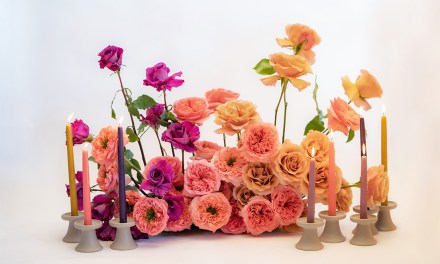 Getting the Most Out of Roses