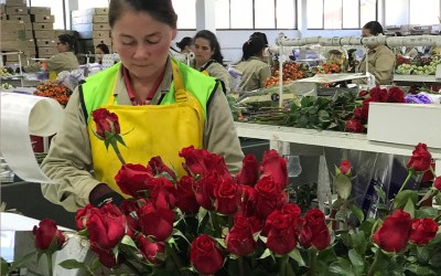 U.S. places hold on 25% tariff on Colombian imports