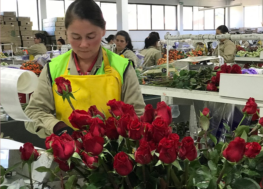 U.S. places hold on 25% tariff on Colombian imports