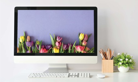 GotFlowers: Cloud Based Solution for Retail Florists