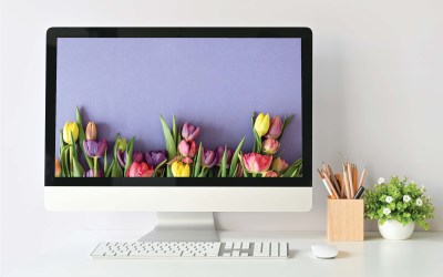 GotFlowers: Cloud Based Solution for Retail Florists