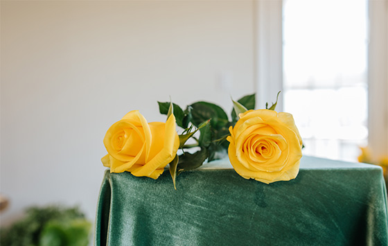 yellow rose
