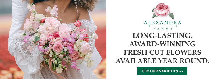 alexandra farms banner ad