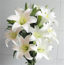 Global Artificial Flower Market Reports 2018-2025 With Top Players; Tongxin Artificial Flowers, FuLi Silk Flower Factory, Suqian Hollia Arts & Crafts, Florist Industrial, Ngar Tat