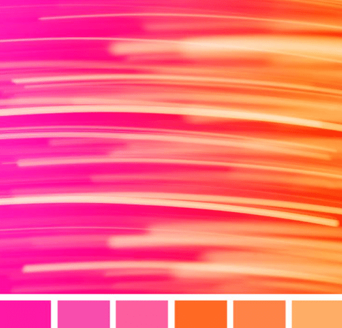 color palette