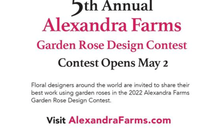 Fifth Annual Alexandra Farms Garden Rose Design Contest